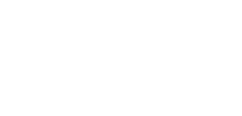 SkyMed